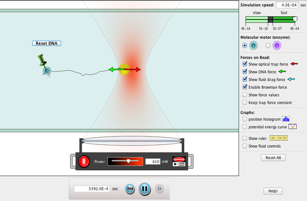 Molecular Motors Screenshot